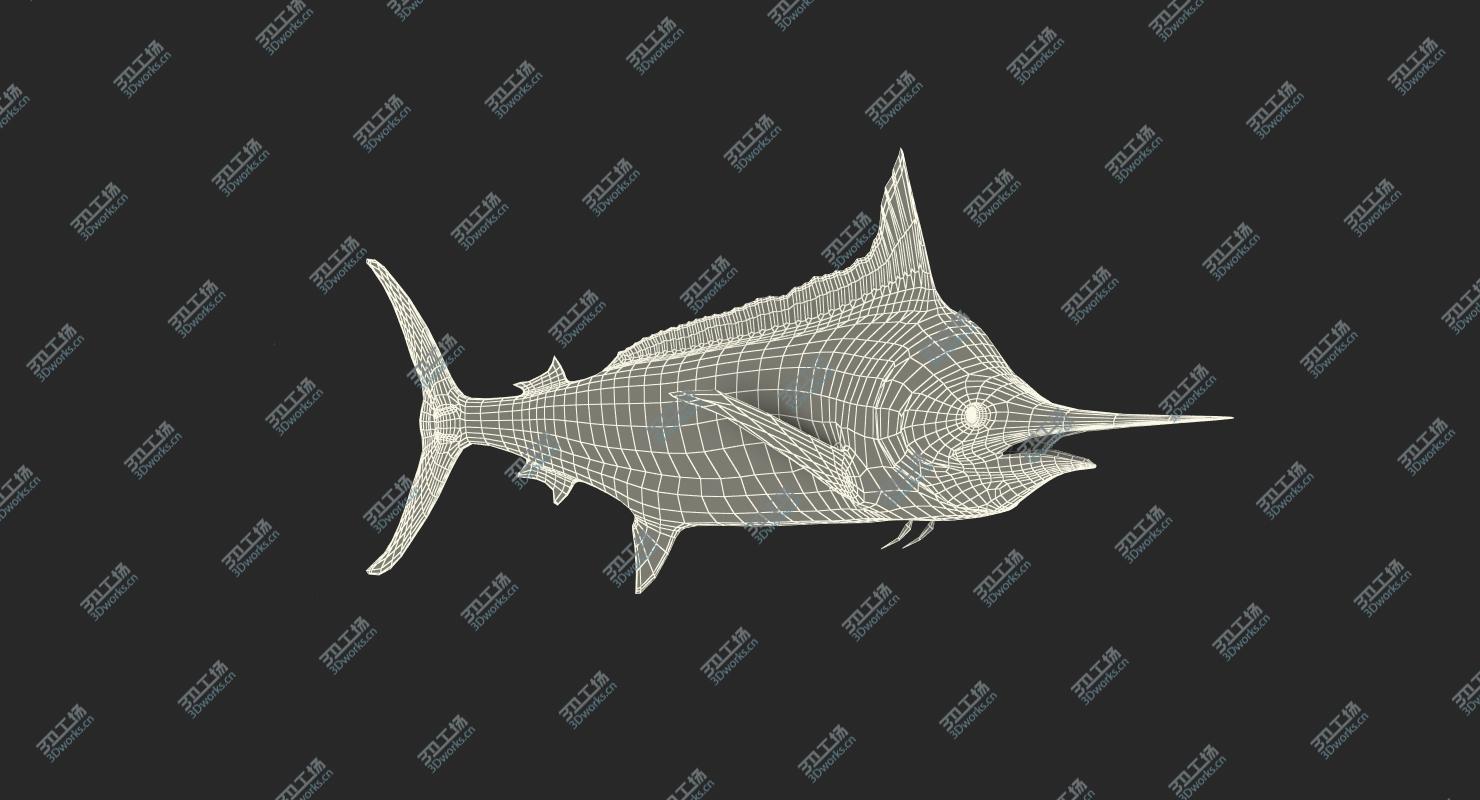 images/goods_img/202105074/Blue Marlin Rigged for Maya/4.jpg